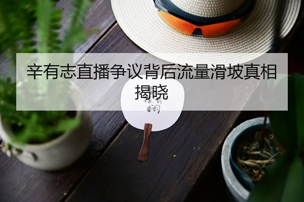 辛有志直播争议背后流量滑坡真相揭晓